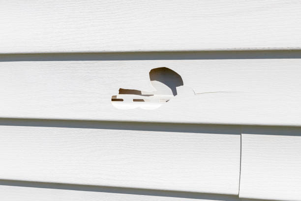 Best Same-Day Junk Removal Services  in Ruch, OR